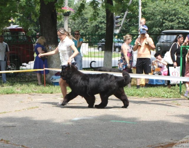 Фотография № 71618