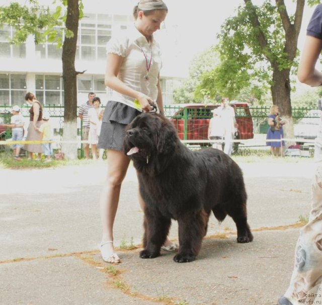 Фотография № 71619