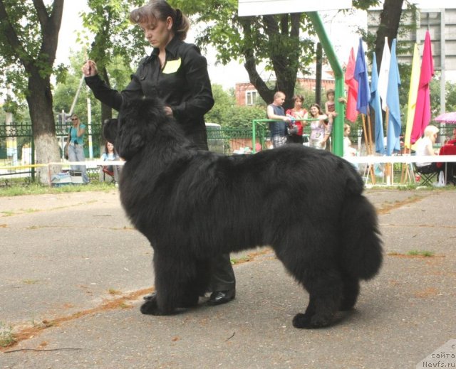 Фотография № 71621