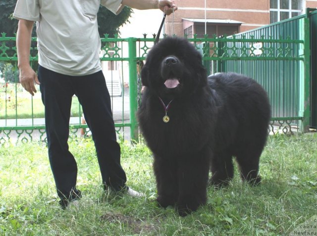 Фотография № 71622