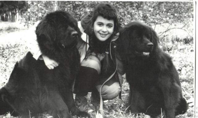 Фото: ньюфаундленд Уингридж Ла Фан, ньюфаундленд Е'Ханя Улгрэм Ботсвейн