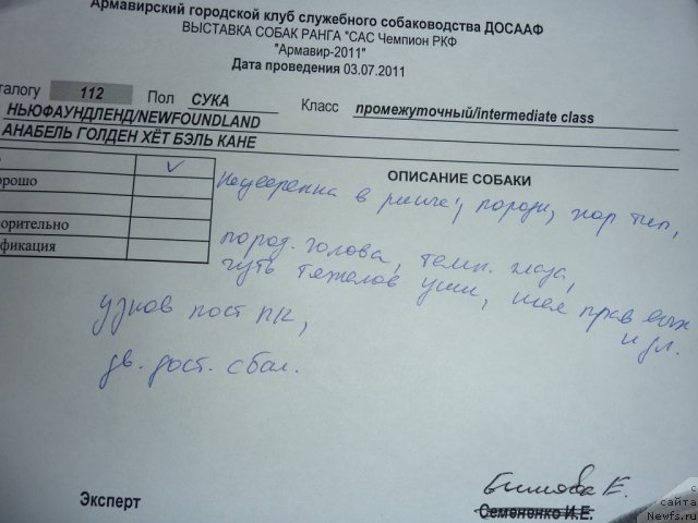 Фотография № 71640