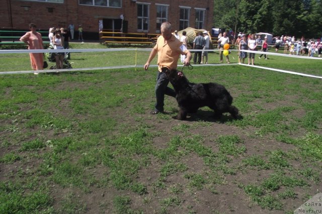 Фотография № 71655