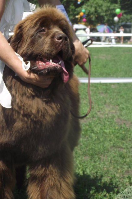 Фотография № 71658