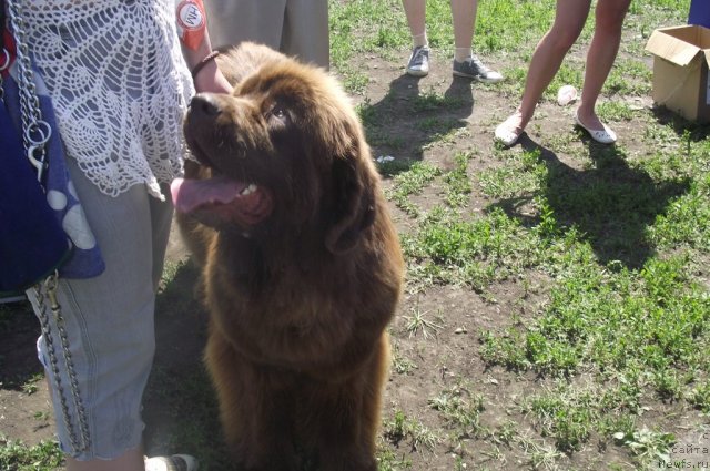 Фотография № 71659