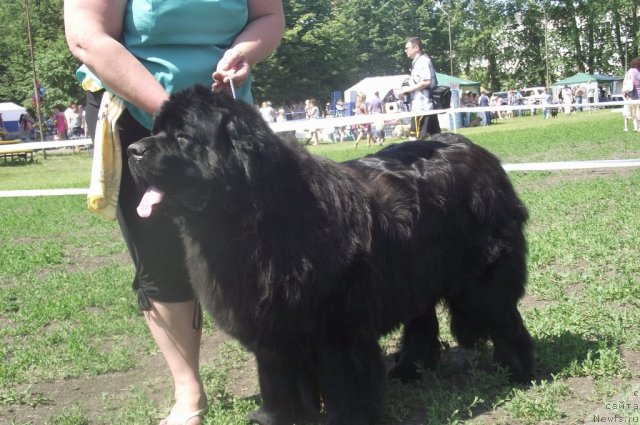 Фотография № 71661