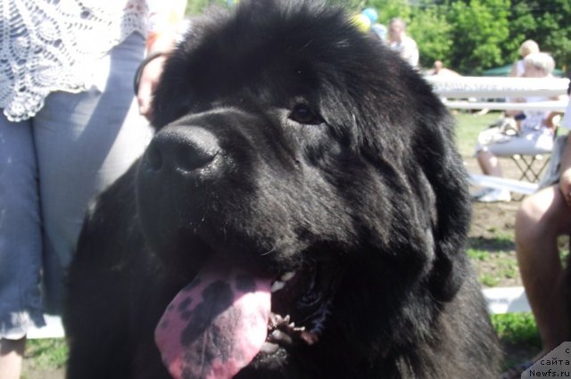 Фотография № 71662