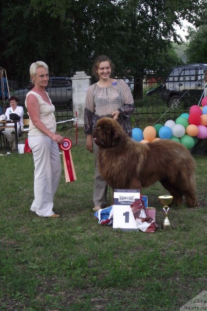 Фотография № 71669