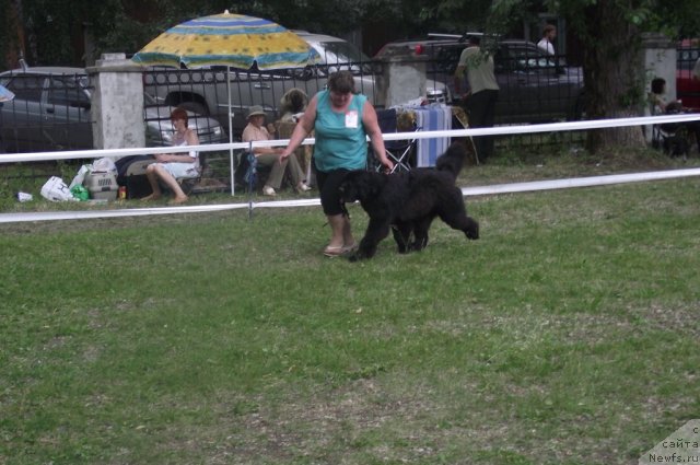 Фотография № 71679