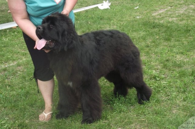 Фотография № 71680