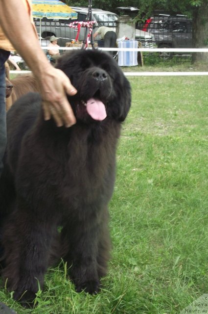 Фотография № 71684