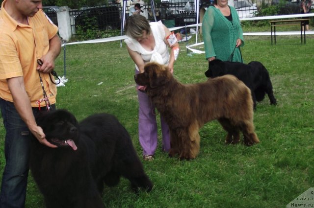 Фотография № 71686