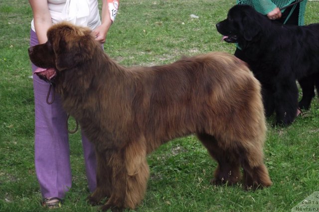 Фотография № 71687