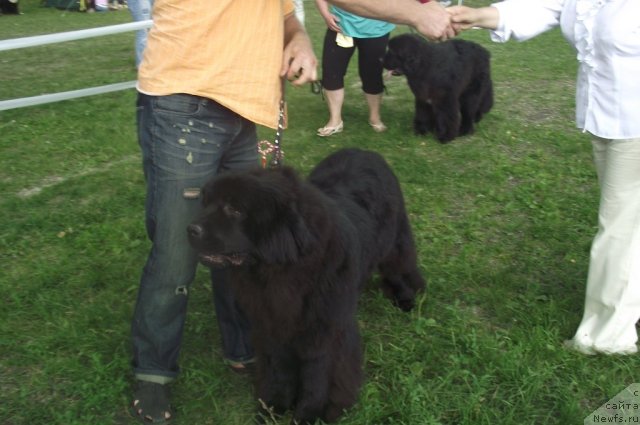 Фотография № 71689