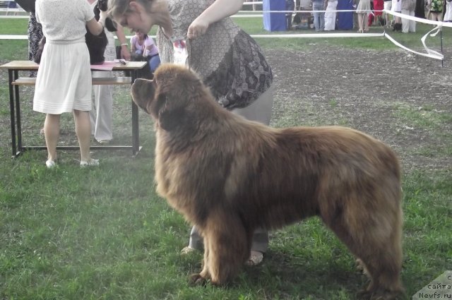 Фотография № 71695