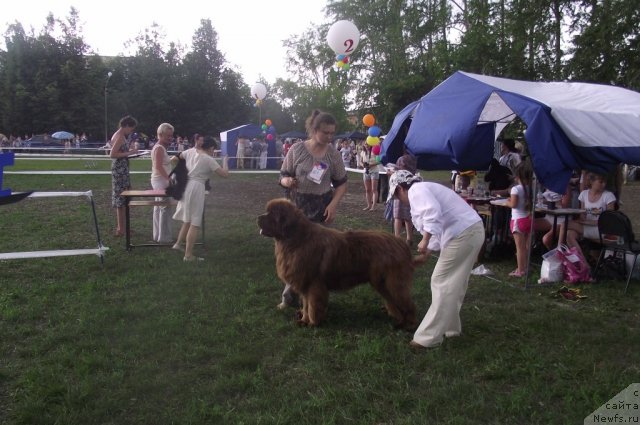 Фотография № 71696