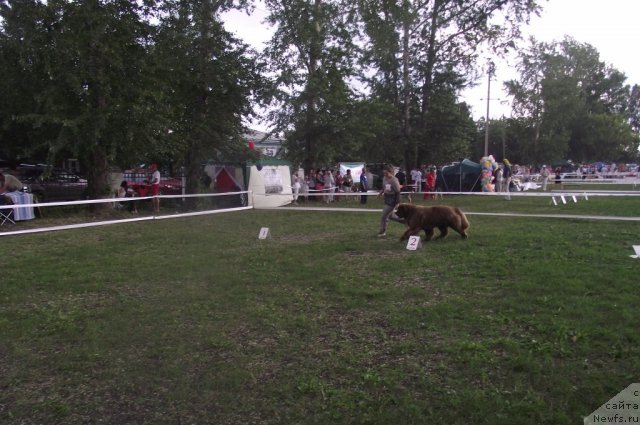 Фотография № 71697