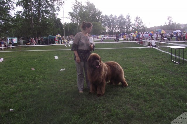 Фотография № 71701