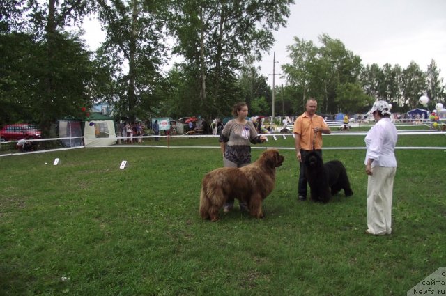 Фотография № 71704