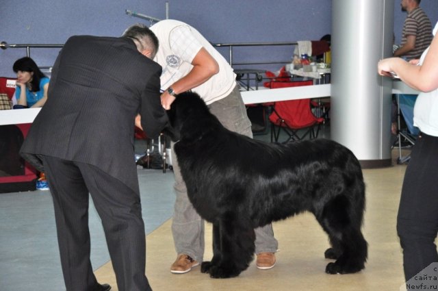 Фотография № 71716