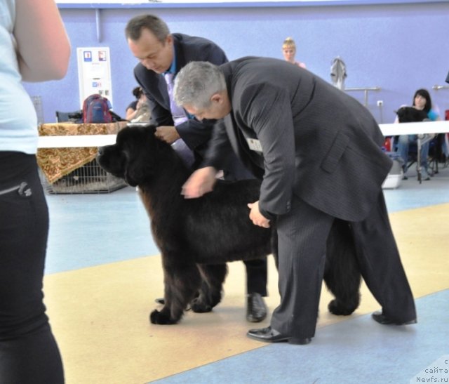 Фотография № 71717