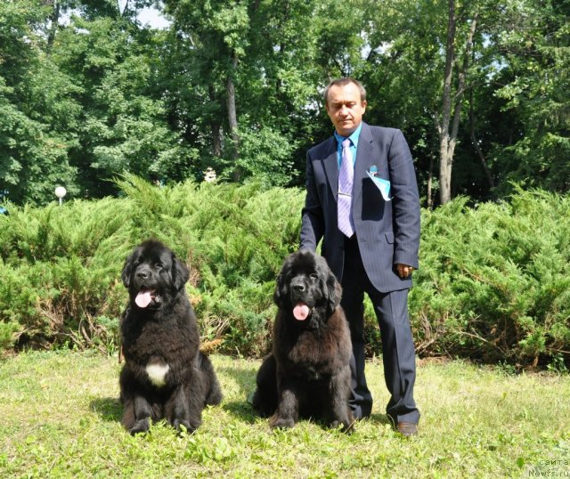 Фотография № 71736