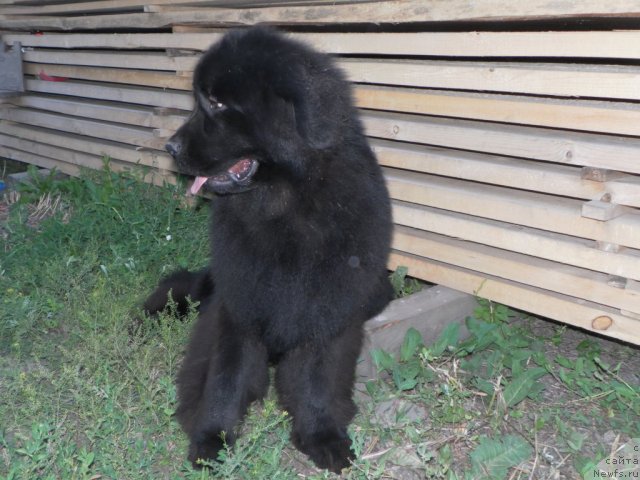 Фотография № 71738