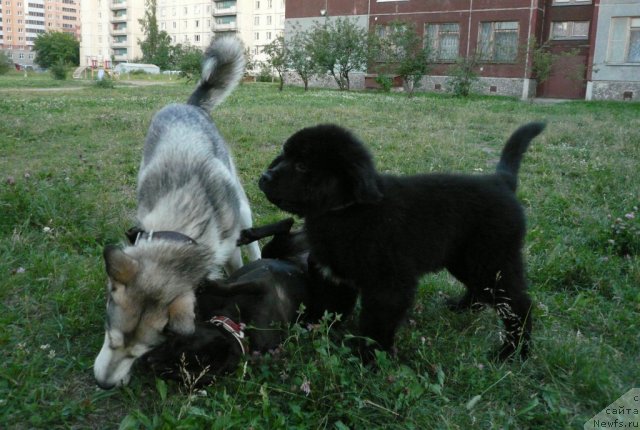 Фотография № 71748