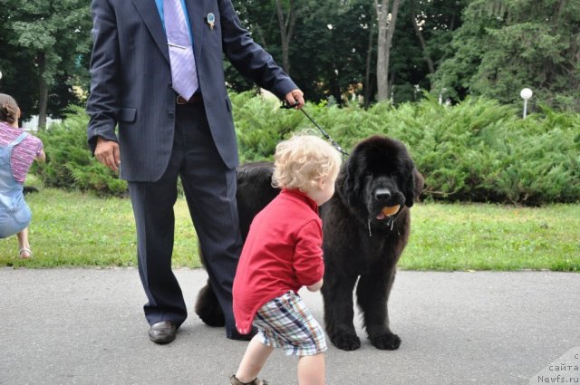 Фотография № 71770