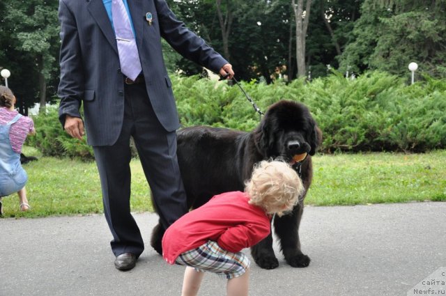 Фотография № 71771