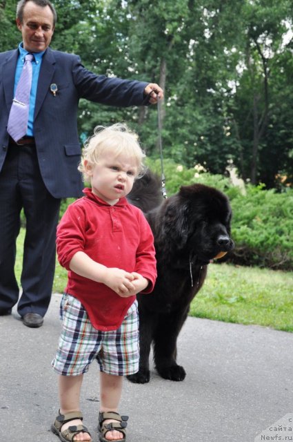 Фотография № 71773