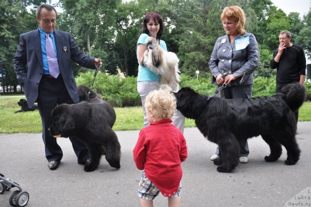 Фотография № 71775