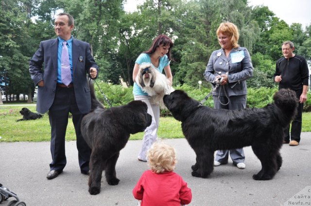 Фотография № 71776