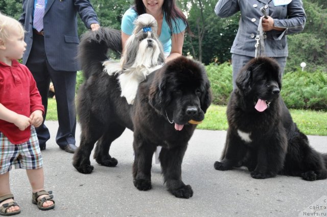 Фотография № 71777