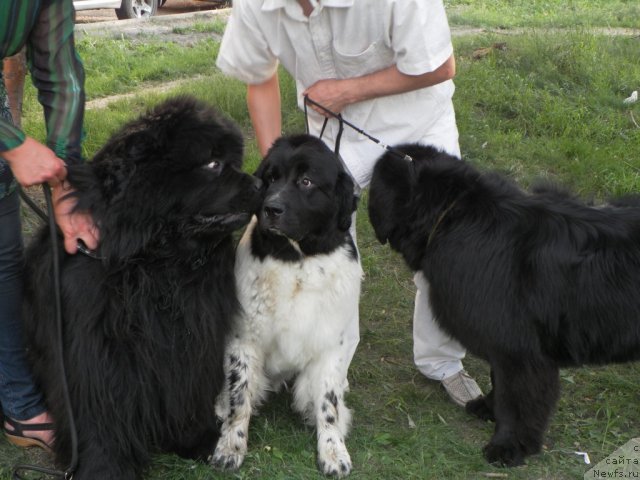 Фотография № 71787