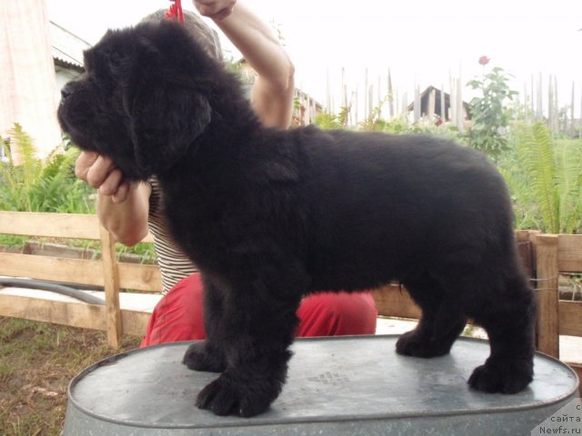 Фотография № 71790