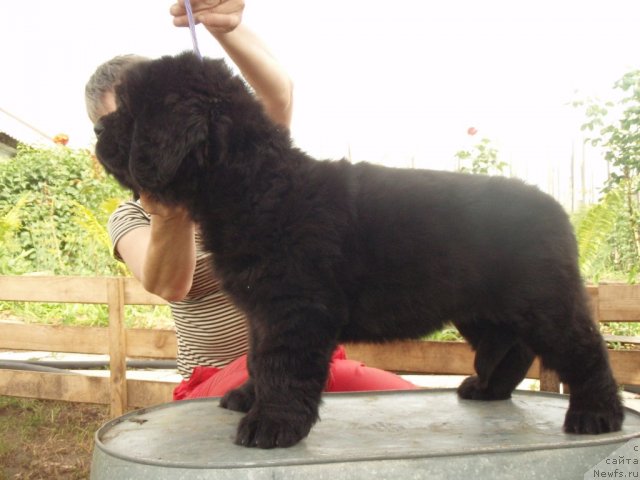 Фотография № 71799