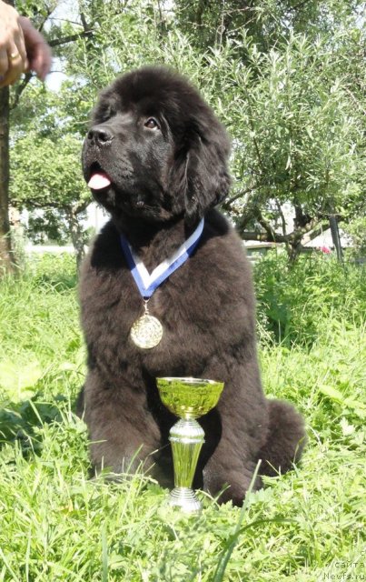 Фотография № 71835