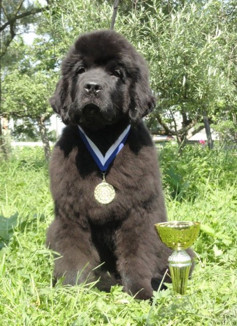 Фотография № 71838