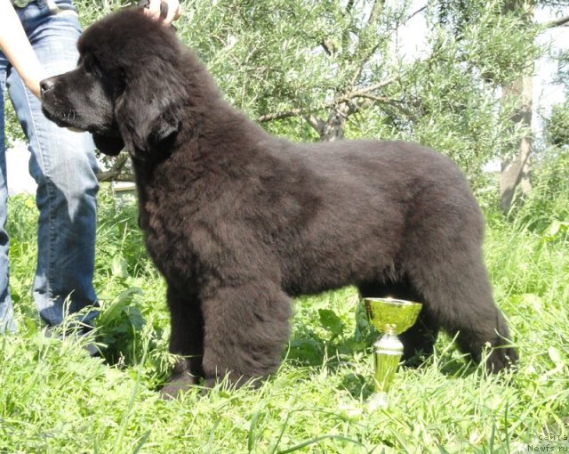 Фотография № 71840