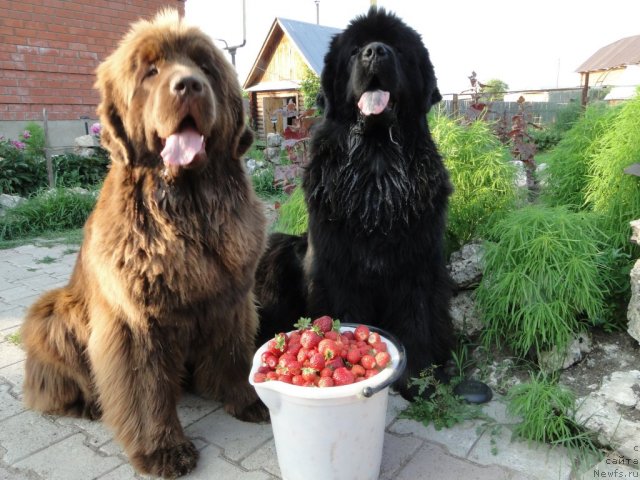 Фотография № 71855