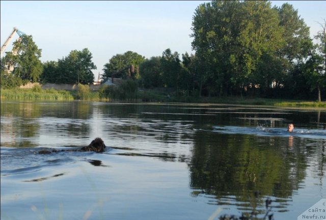 Фотография № 71857