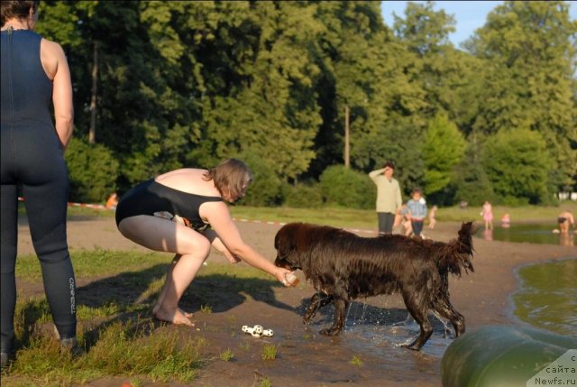 Фотография № 71862