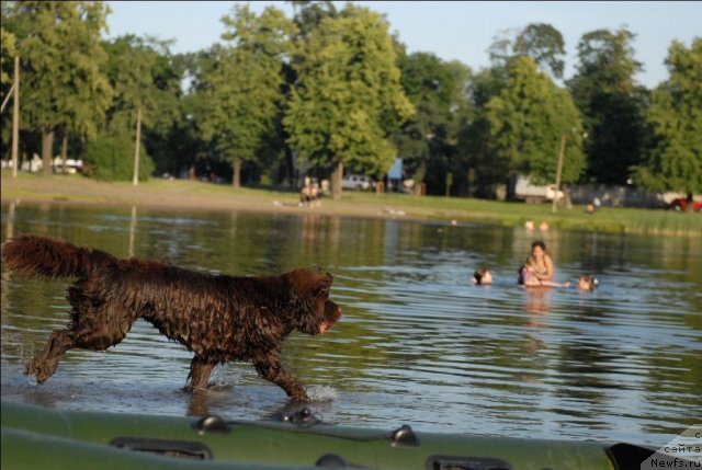 Фотография № 71868