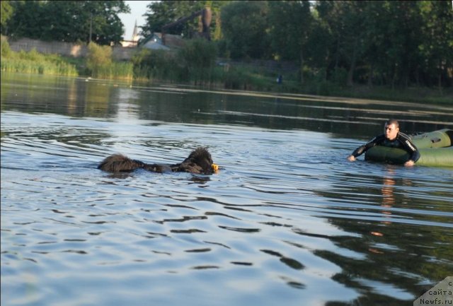 Фотография № 71878