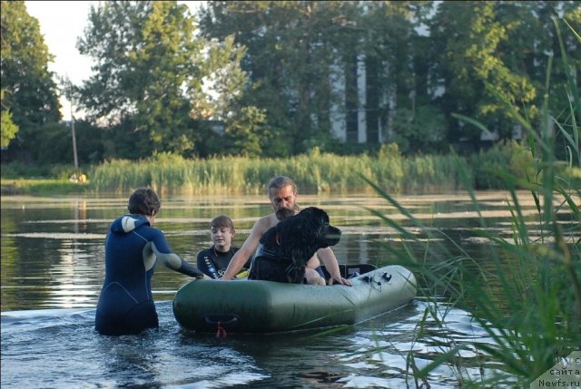 Фотография № 71890