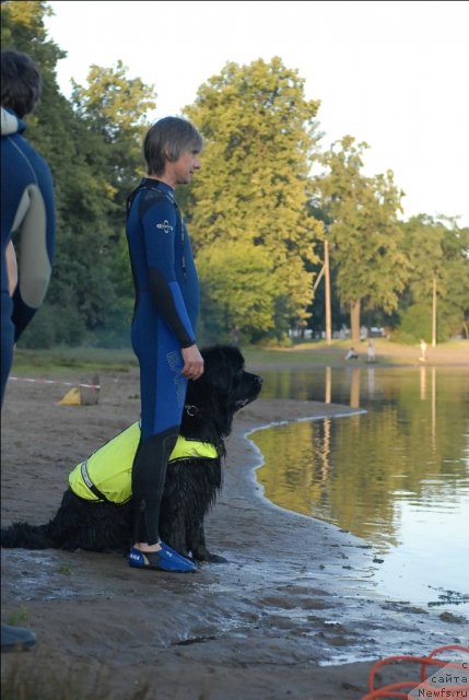 Фотография № 71892