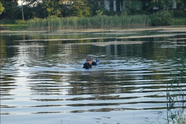 Фотография № 71894