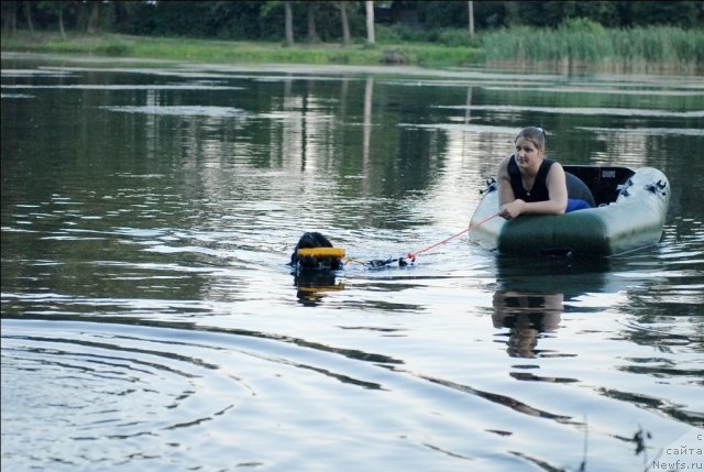 Фотография № 71896