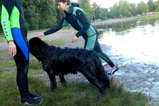 Фотография № 71897